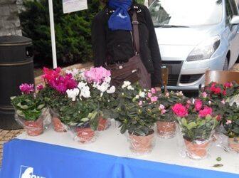 Un fiore per i nostri progetti 2012, in piena tenuta malgrado la recessione