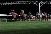 All’Ippodromo le Bettole il 60° Gran Premio Città di Varese per  la Comunità di Fogliaro