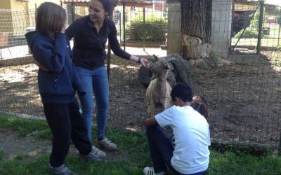 Anche nel 2018 “Andiamo in cascina” grazie al Rotary Club Milano Duomo
