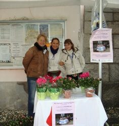 Un fiore per i nostri Progetti 2010