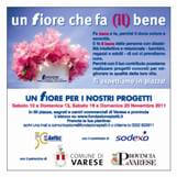 Weekend con i fiori “benefici” di Fondazione Piatti